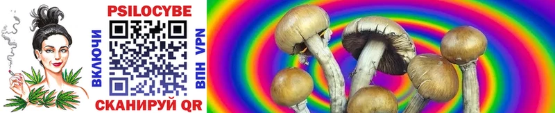 закладка  мега как зайти  Галлюциногенные грибы Cubensis  Венёв 